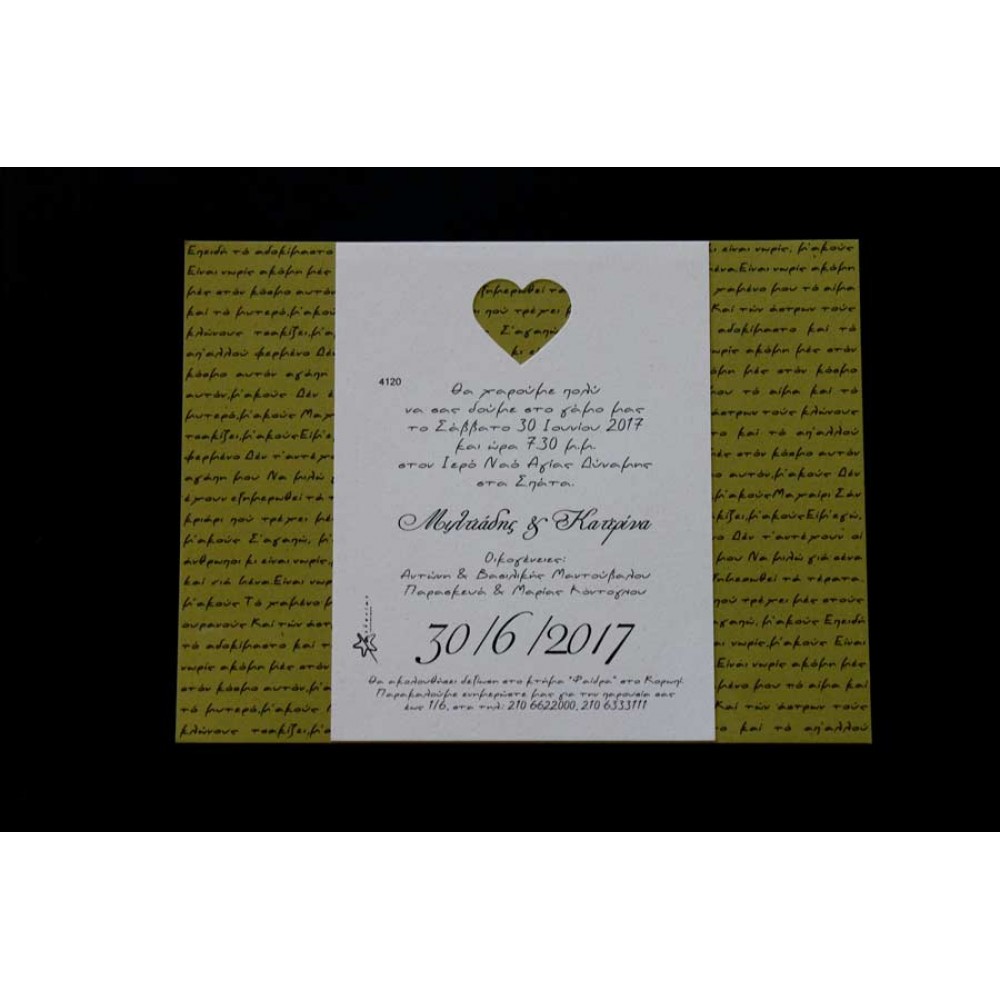 Wedding Invitation PRO 4120 Wedding Invitation PRO 4120