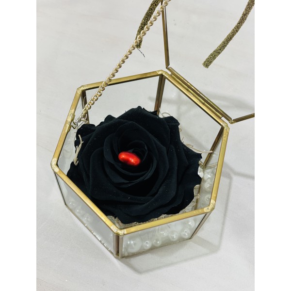 Forever Rose Black in Terrarium FR01 box
