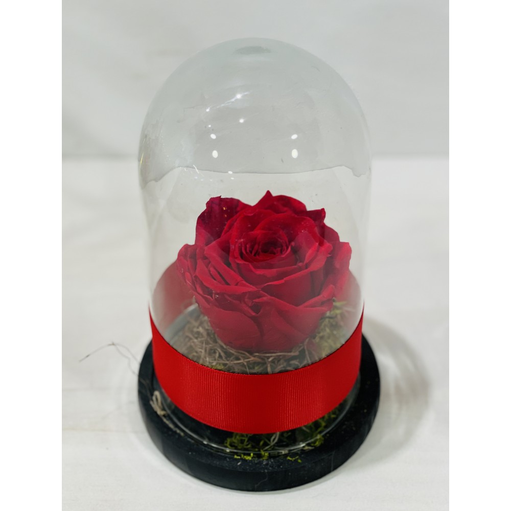 Forever rose red in glass bell FR07