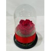 Forever rose red in glass bell FR07