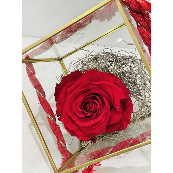 Forever Rose Rose in Terrarium FR03 box