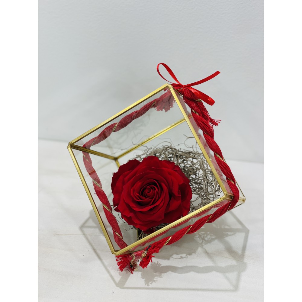 Forever Rose Rose in Terrarium FR03 box