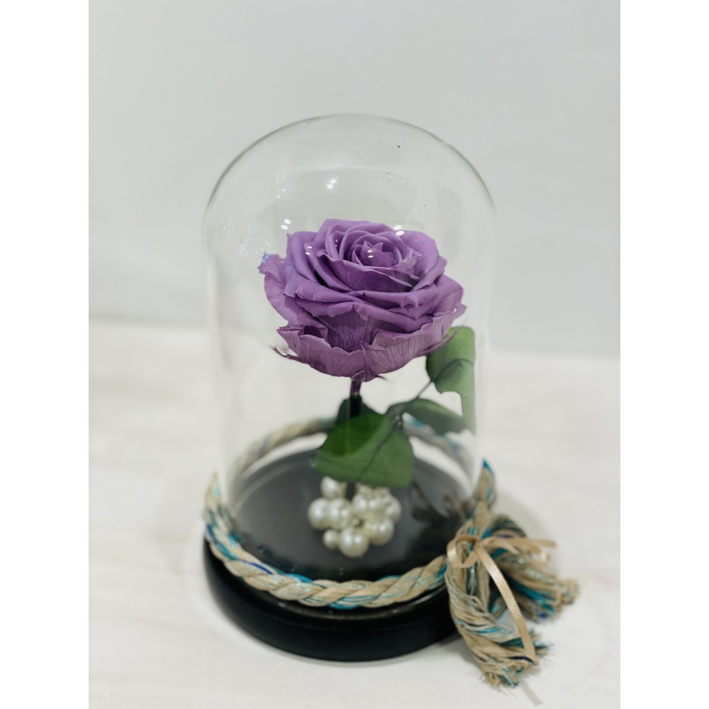 Forever rose lilac in glass bell FR10