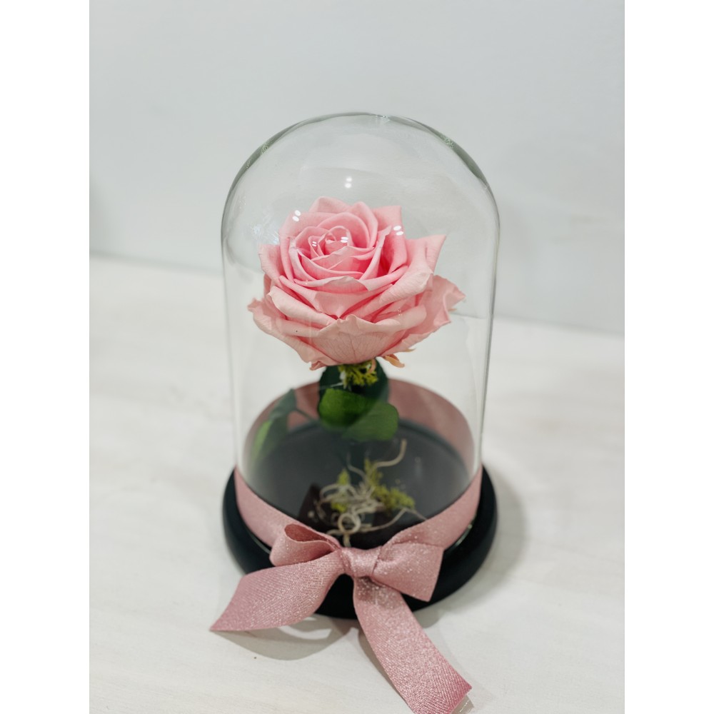 Forever rose pink in glass bell FR15