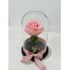 Forever rose pink in glass bell FR15