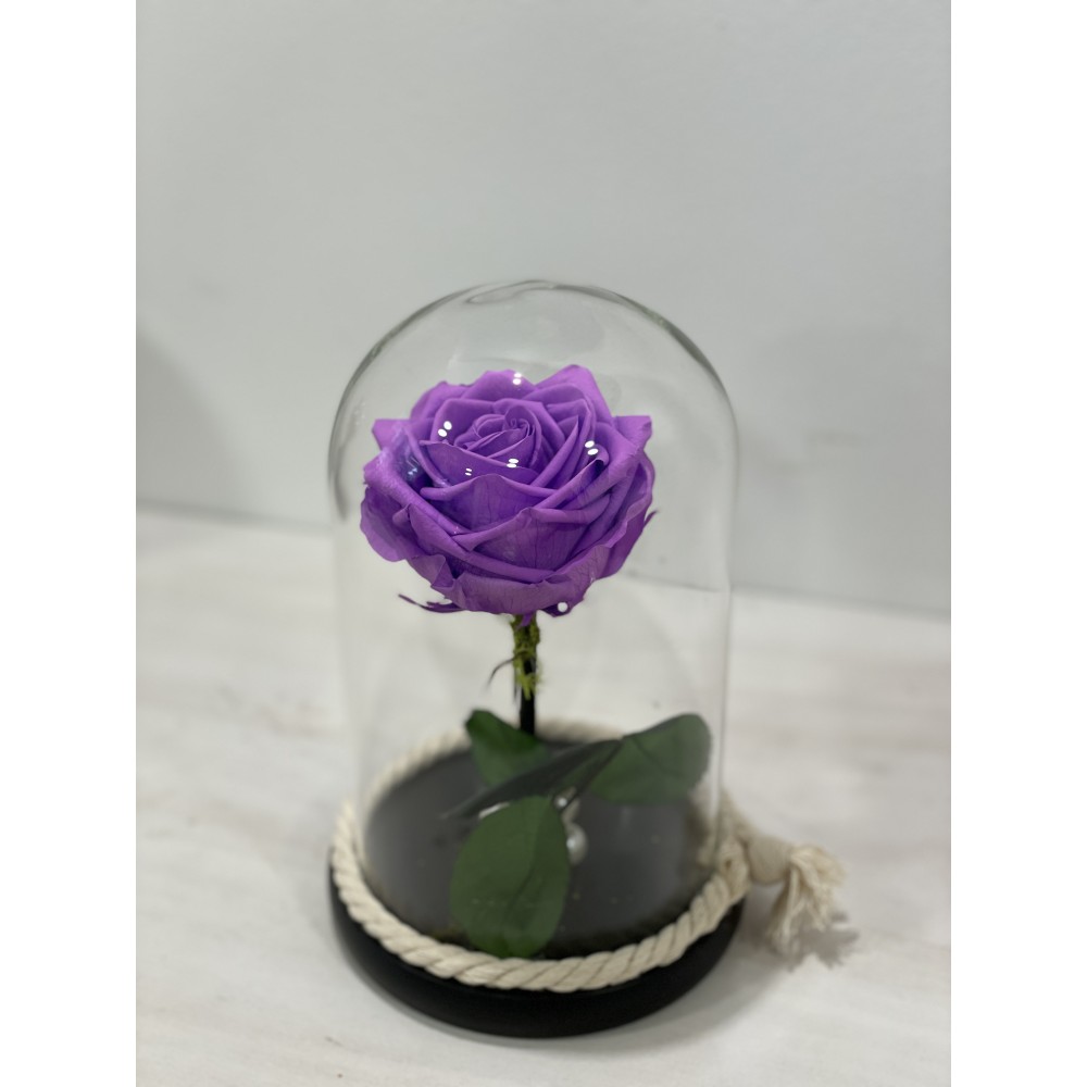 Forever Rose purple in glass bell FR16
