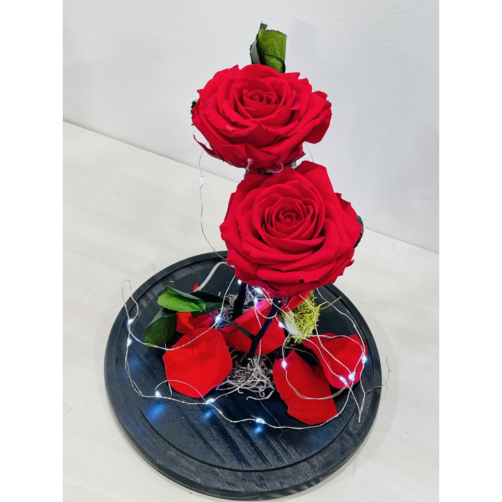 Forever Roses Κόκκινα σε Γυάλινη Καμπάνα FR11 Forever Roses Κόκκινα σε Γυάλινη Καμπάνα FR11