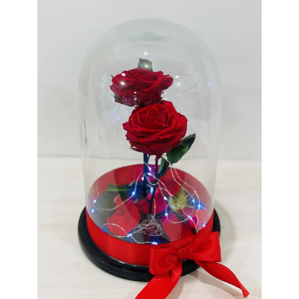 Forever roses red in glass bell FR11