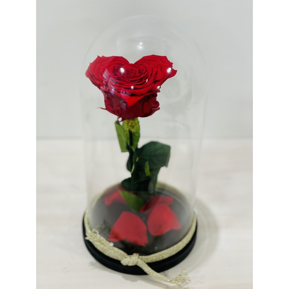 Forever rose heart red in glass bell FR12 Forever rose heart red in glass bell FR12