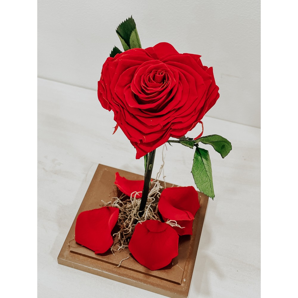 Forever Rose Κόκκινη Καρδιά FR06 Forever Rose Κόκκινη Καρδιά FR06