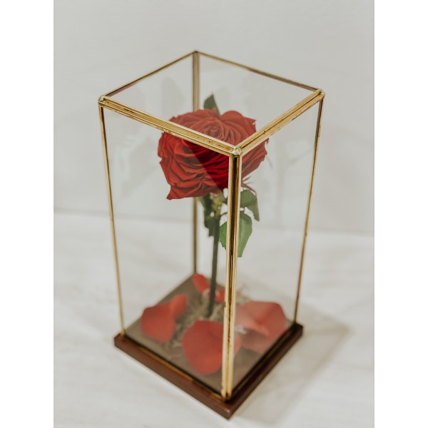 Forever Rose Κόκκινη Καρδιά FR06