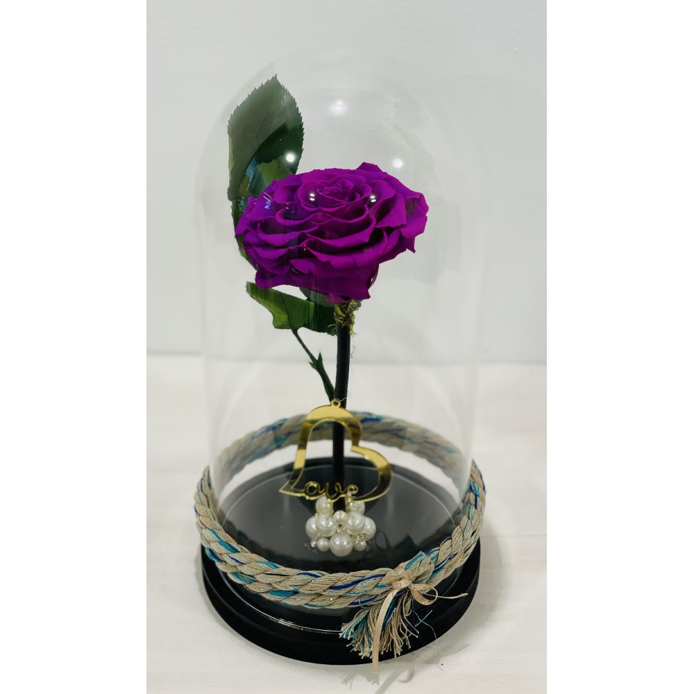 Forever Rose purple in glass bell FR14