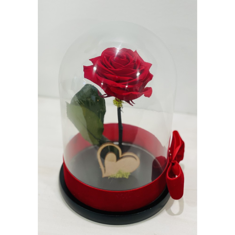 Forever rose red in glass bell FR17