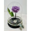Forever rose lilac in glass bell FR18