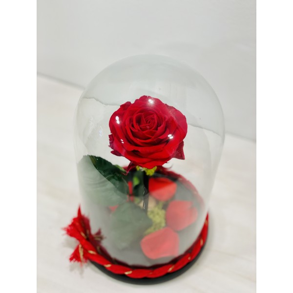 Forever rose red in glass bell FR19